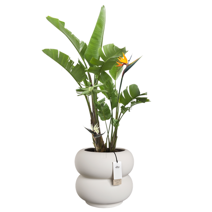 amber roll low 43cm linnen wit